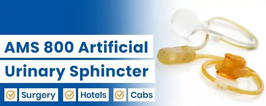 AMS 800 Artificial Urinary Sphincter