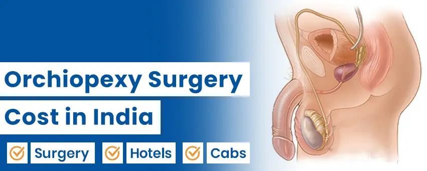 Orchiopexy Surgery Cost