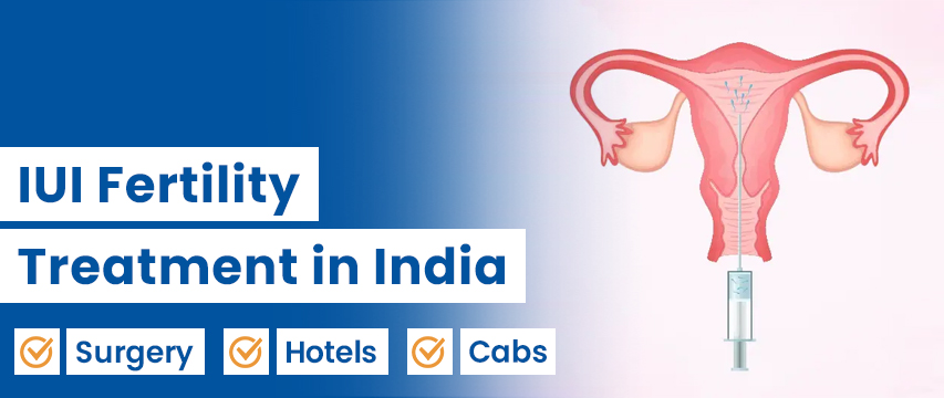Intrauterine insemination (IUI)