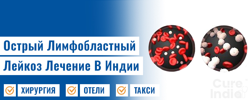 Острого Лимфобластного Лейкоза