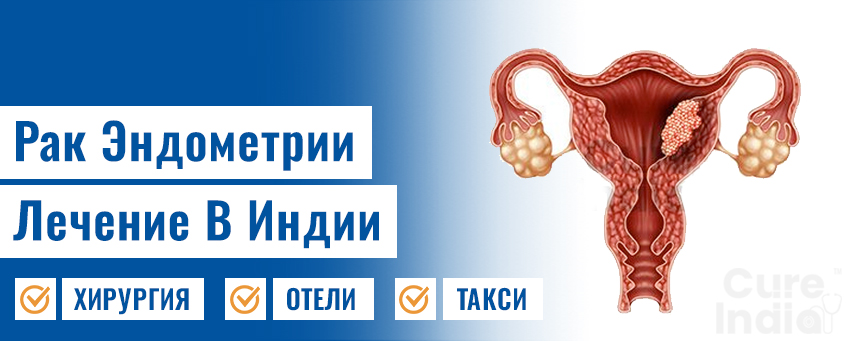 Рак Эндометрии