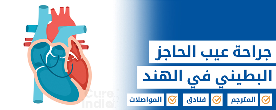 عيب الحاجز البطيني