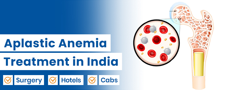 Aplastic Anemia
