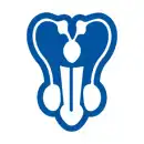 Buccal Mucosa Graft Urethroplasty