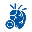 Heart Transplant