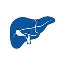 Liver Transplant