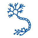 Peripheral Nerve Surgery