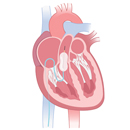 cureindia