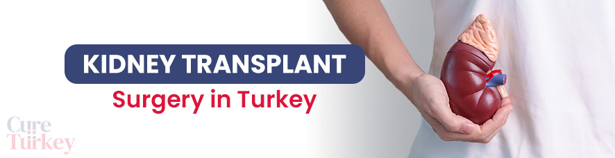 Kidney Transplant
