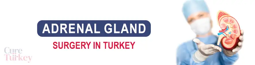 Adrenal Gland Surgery