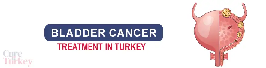 Bladder Cancer