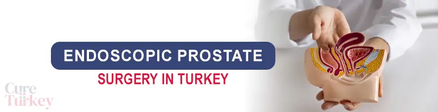Endoscopic Prostate Surgery