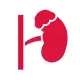 Adrenal Gland Surgery