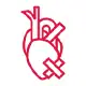 MitraClip Mitral Valve Repair