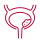 Bladder Cancer