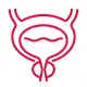 Endoscopic Prostate Surgery