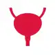 Overactive Bladder Treatment (OAB)